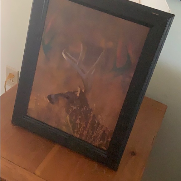 3D changing Buck Picture in frame - Picture 4 of 5